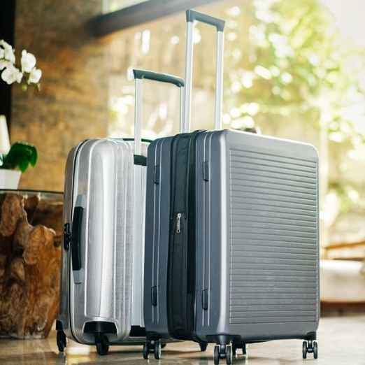 Luggage Industry_522_522.jpg